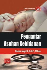 Pengantar asuhan kebidanan