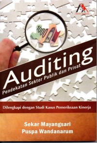 Auditing: pendekatan sektor publik dan privat